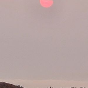 Meet your Posher, Gustavo